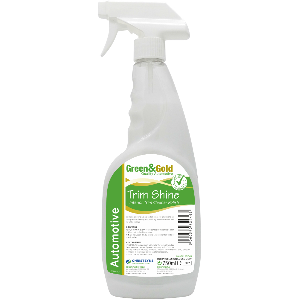 Car Interior Cleaning 